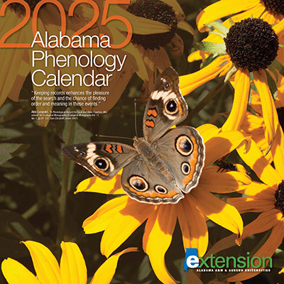 Phenology Calendar 2025