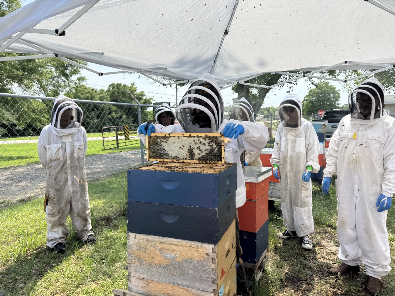 Fall 2025 Practical Beekeeping Workshop