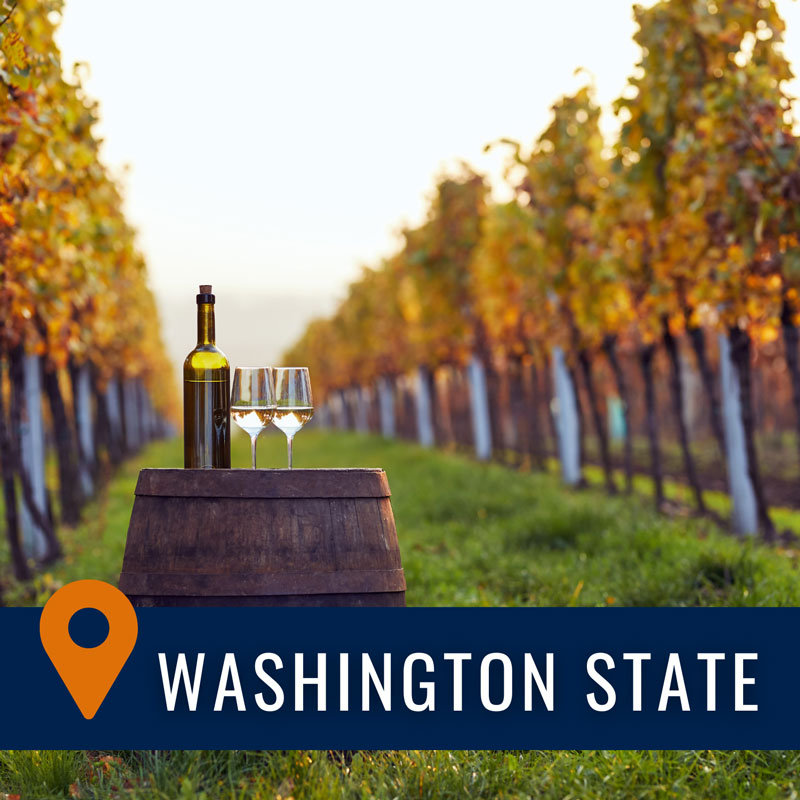 Wines of Washington State: Undiscovered and Overlooked