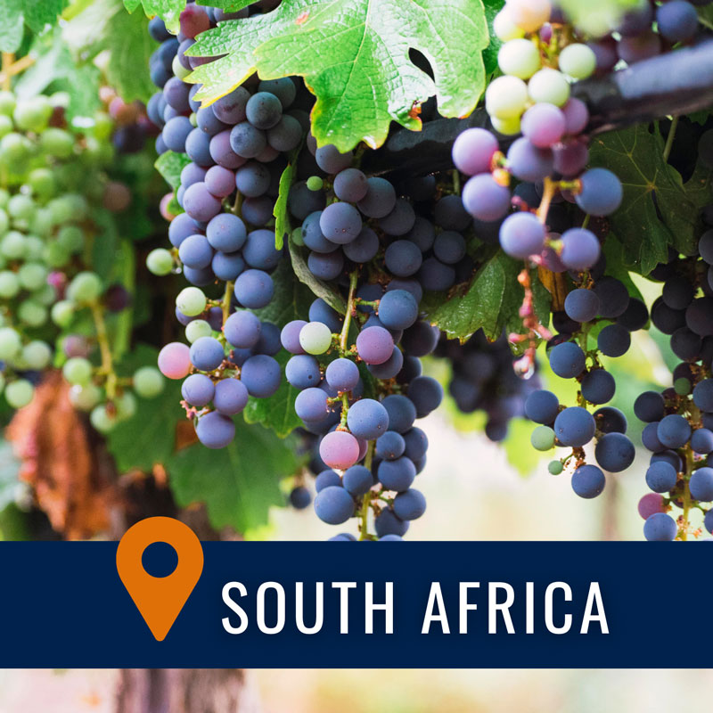 Wines of South Africa: Ancient Soils, New Thinking