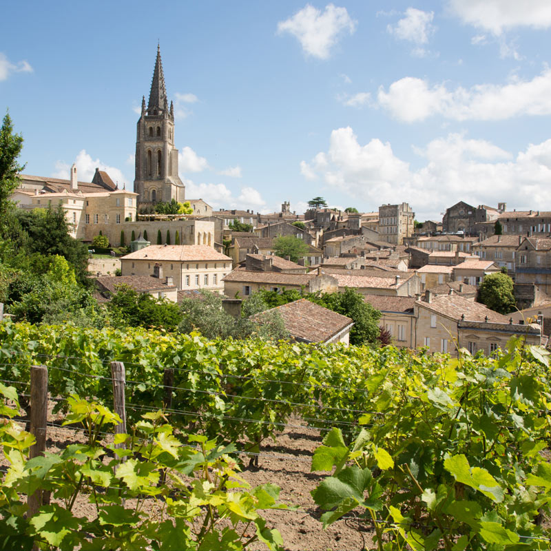 Bask in Bordeaux