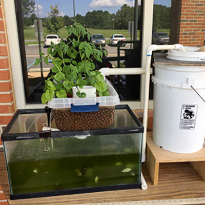 Aquaculture/Aquaponics 101 Teachers Workshop