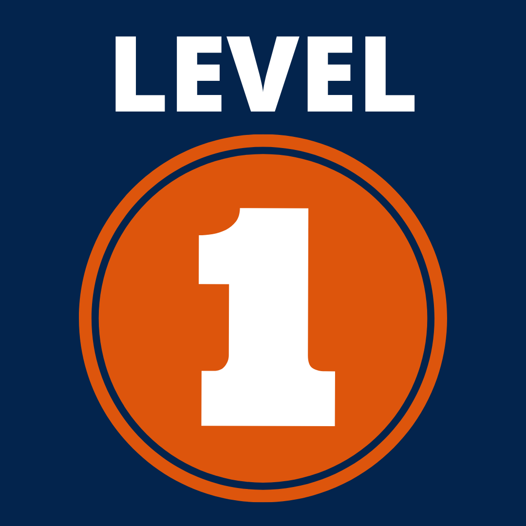 Level 1 Plus Partner