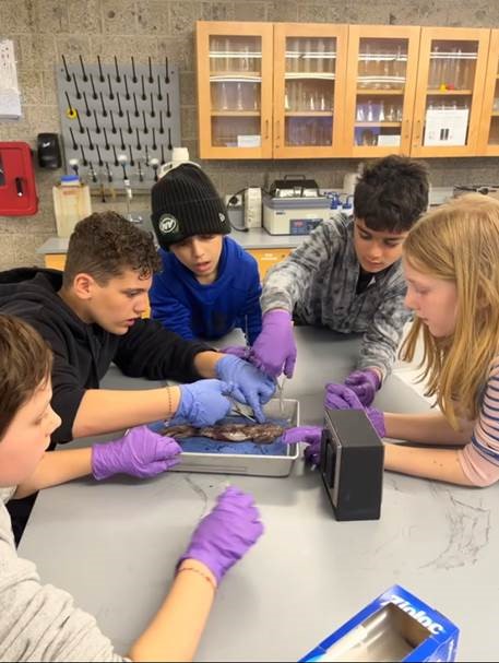 STEAM Day, Spring 2026