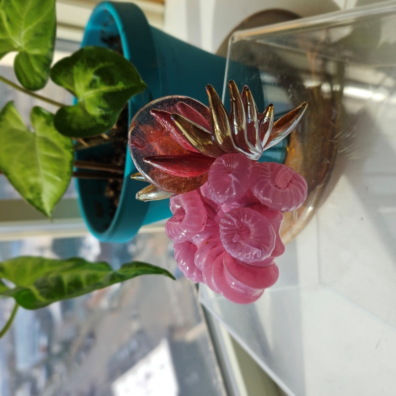 Pink Coral by Molly Jo Burke