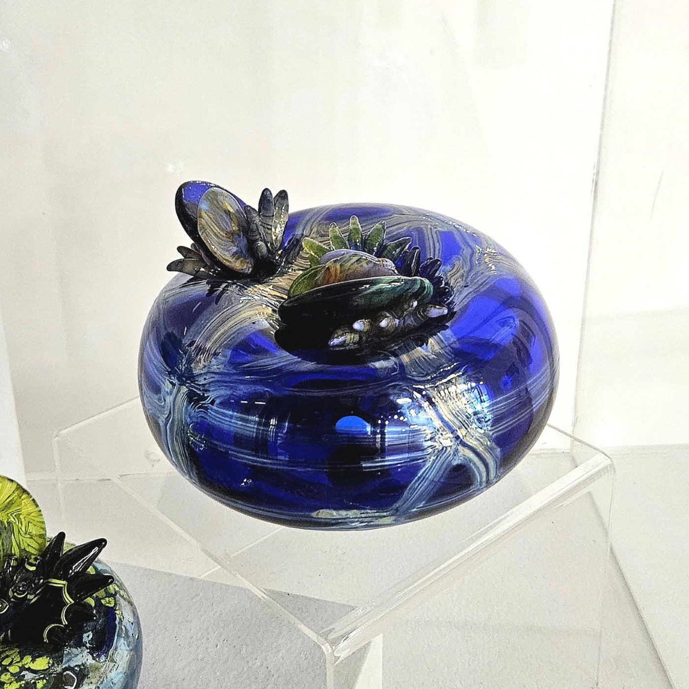 Cobalt & Opal Blue by Molly Jo Burke