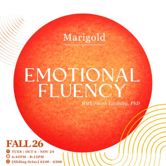 Emotional Fluency - $270 Option