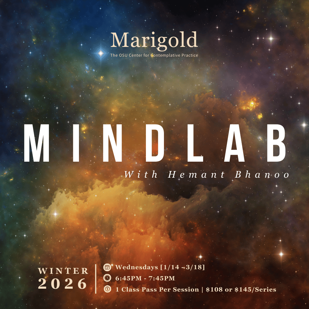 MindLab: $108 Student/Financial Limitation Option