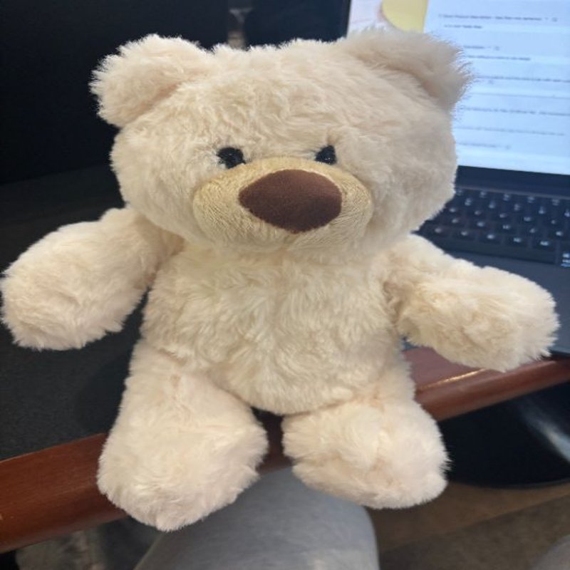 Buddy Bear (Without Customization)