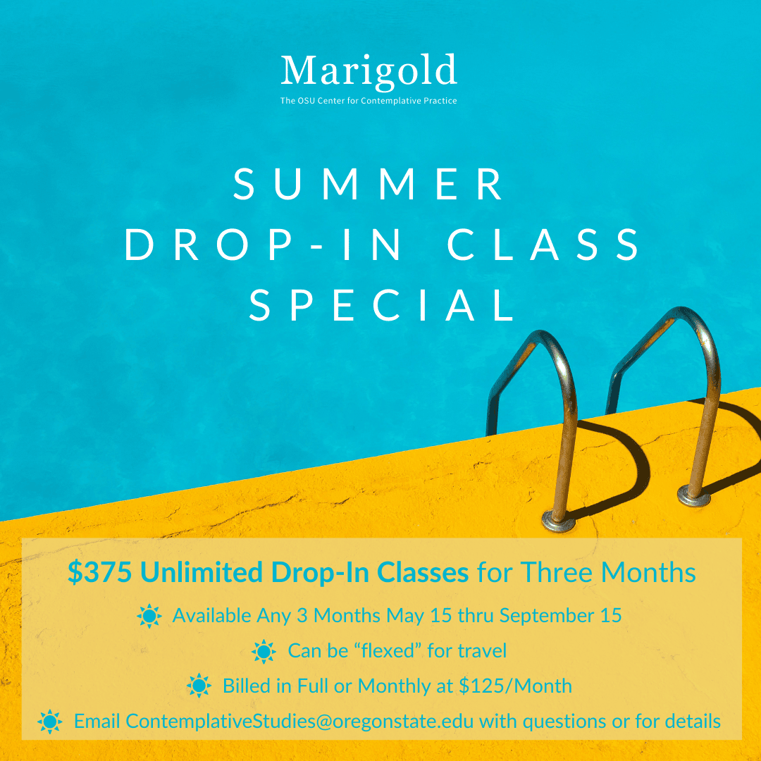 Summer Drop In Special: $125 [Paid Monthly]