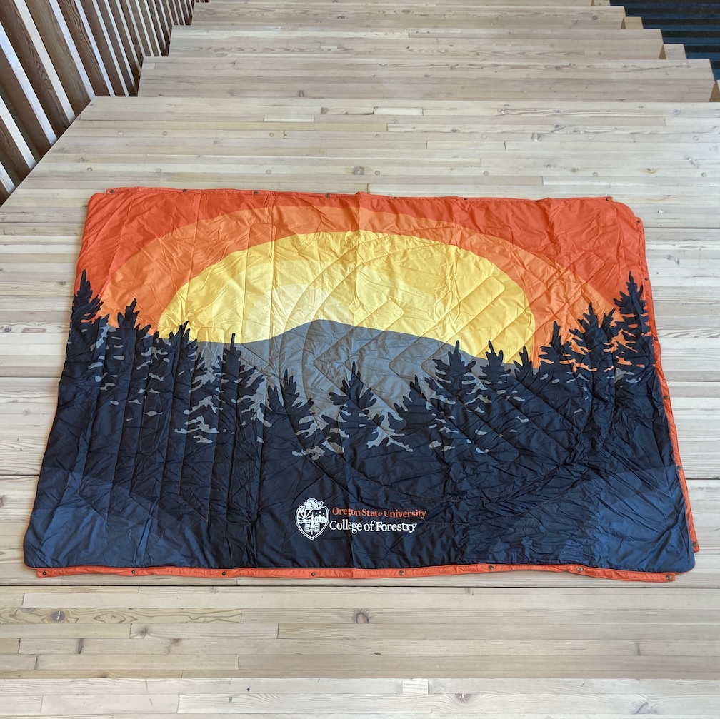 Multipurpose Ripstop Blanket