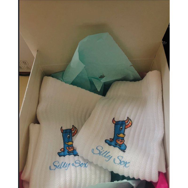 Silly Socks