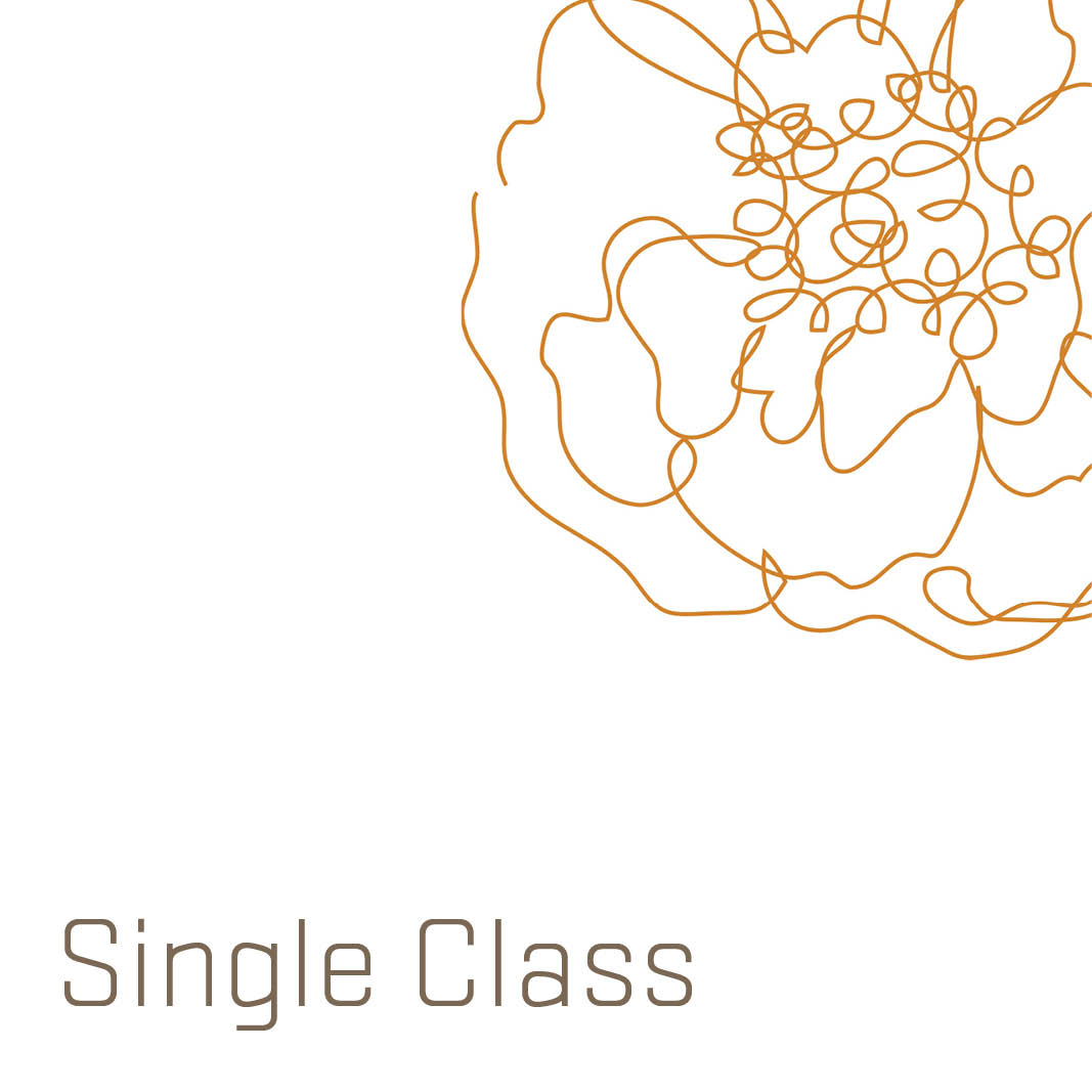 Student - Single Class