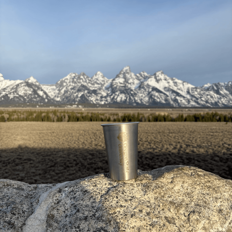 Steel Sipper