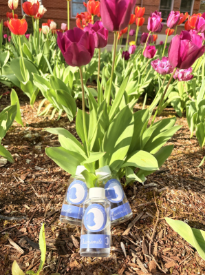 Auroma Scents Diffuser