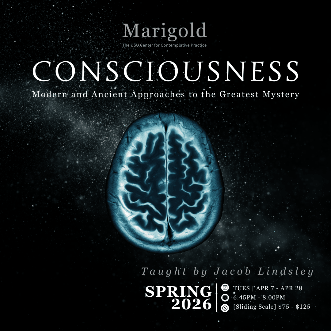 Consciousness [$100 Option]