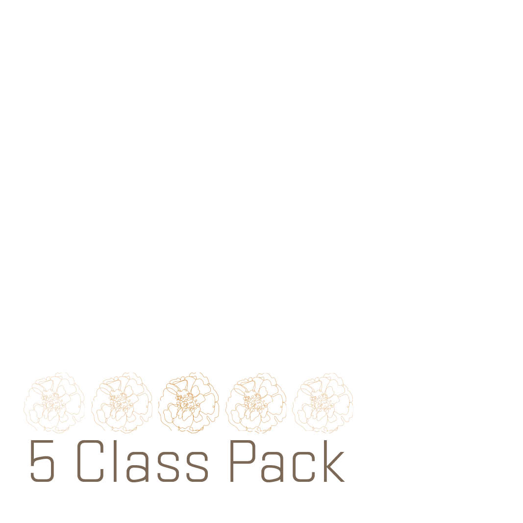 Community/Public - 5 Class Pack