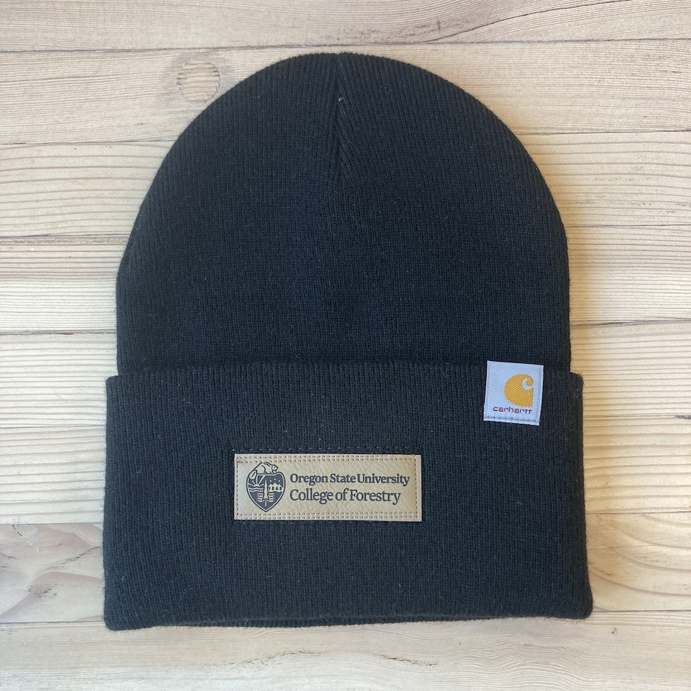 Carhartt Watch Cap 2.0