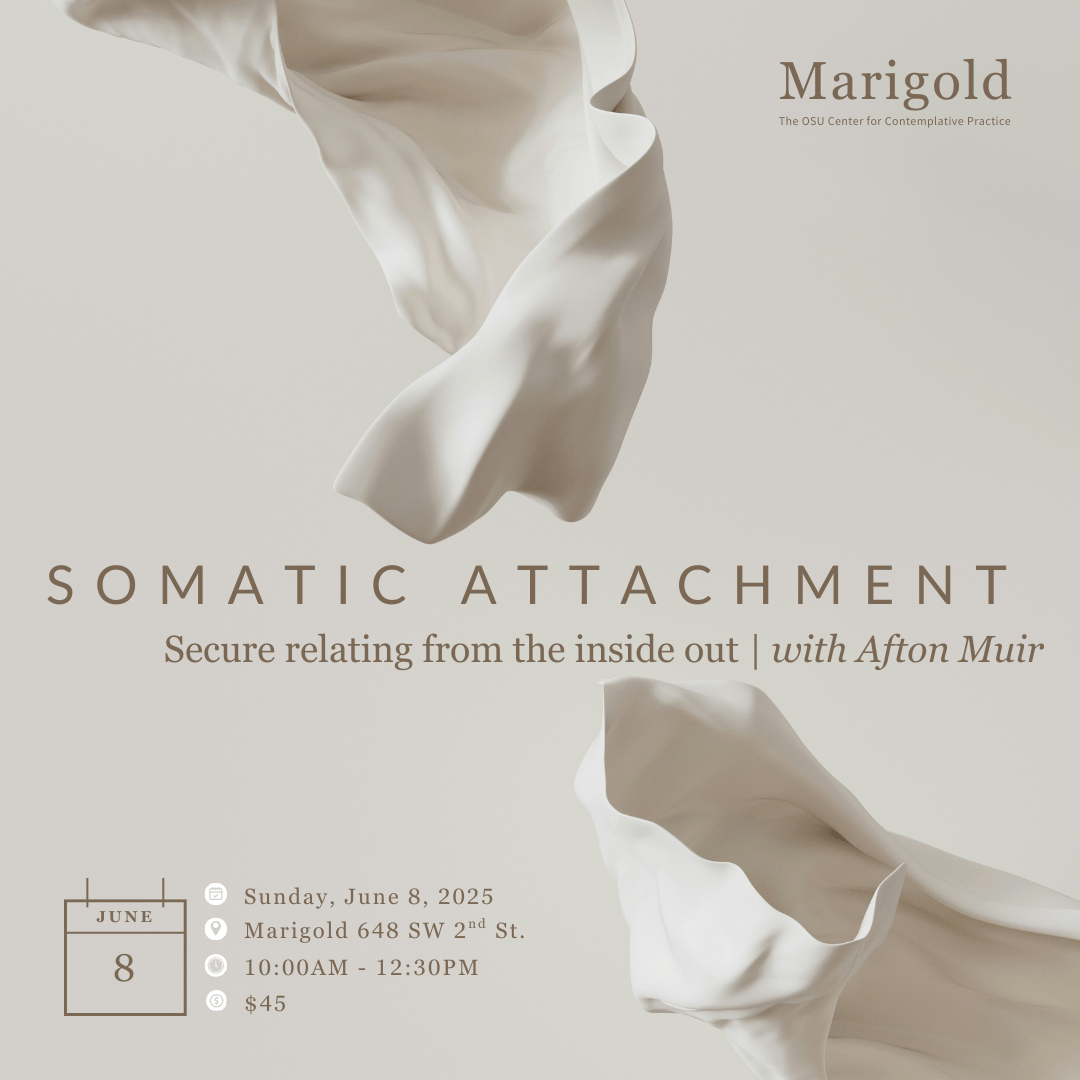 Somatic Attachment Workshop