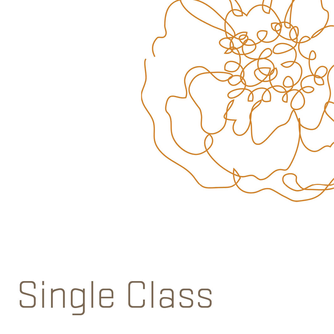 Educators/Staff - Single Class