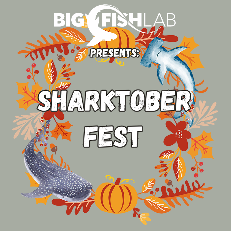 Sharktoberfest Admission + T-shirt