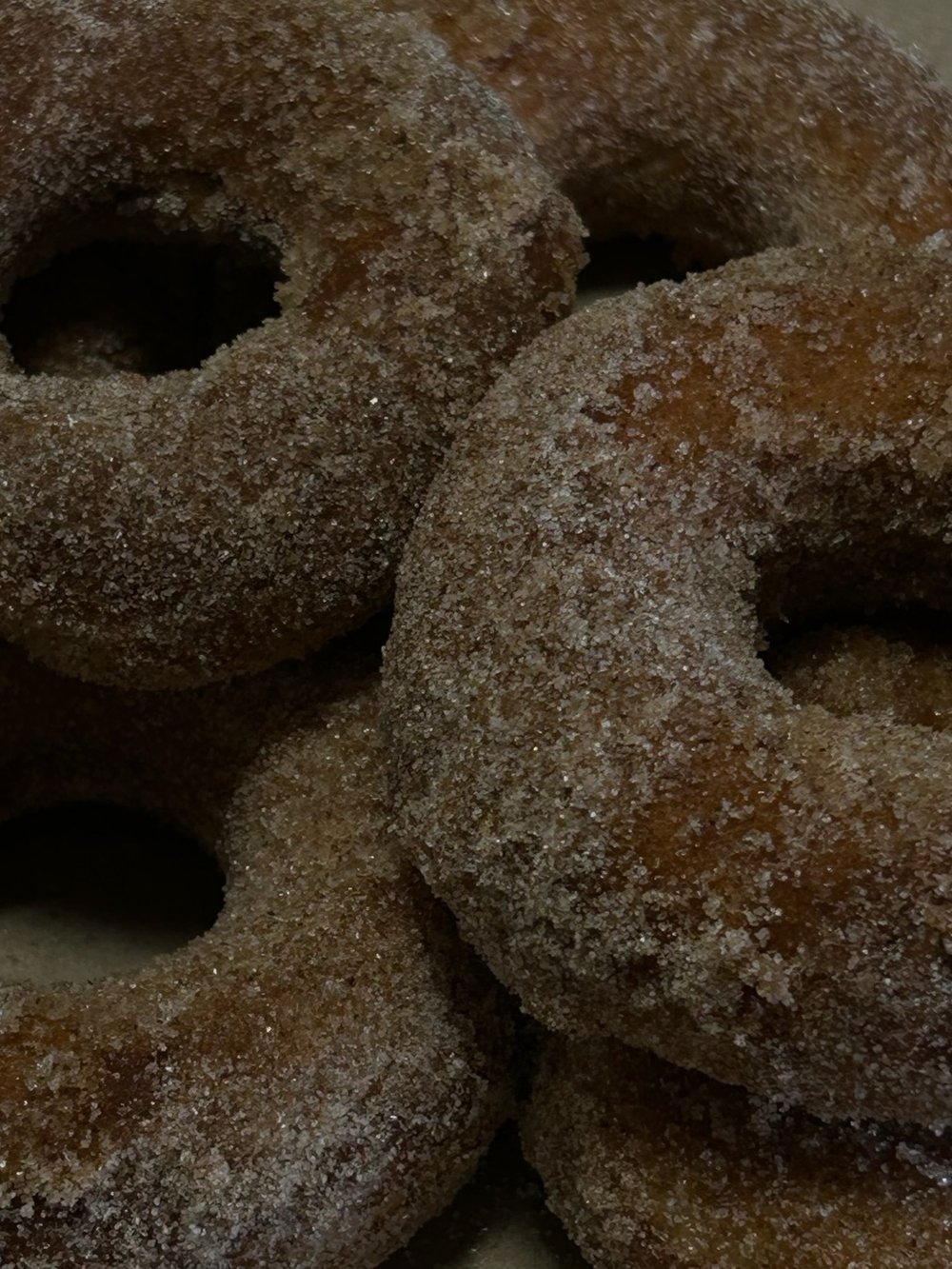 Single Donut