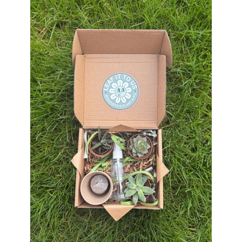 Plant Box