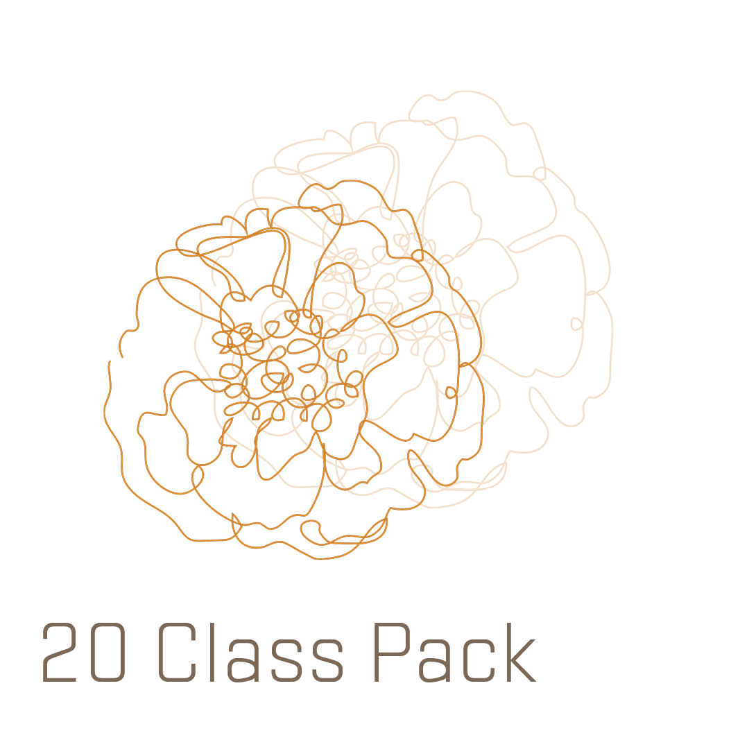 Student - 20 Class Pack