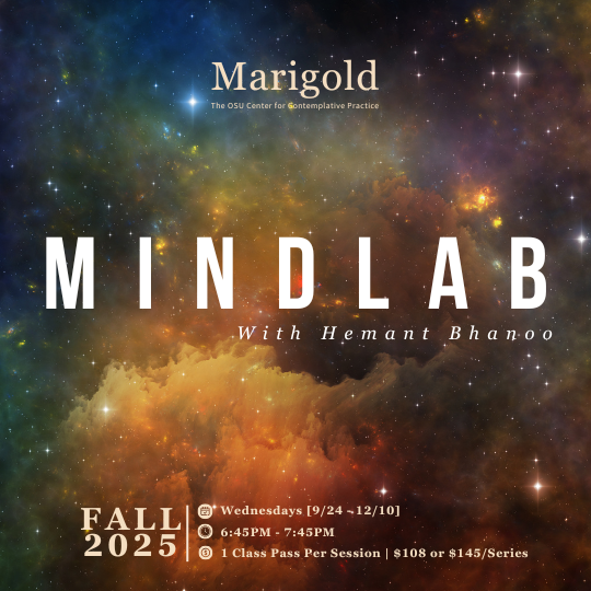 MindLab: $108 Student/Financial Limitation Option