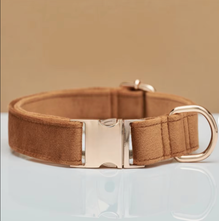 Pawfect Collar