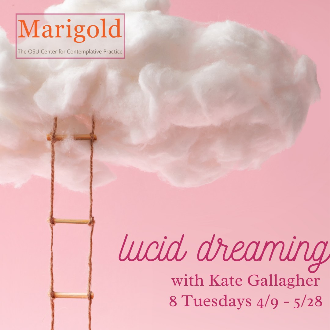 Lucid Dreaming - Educator