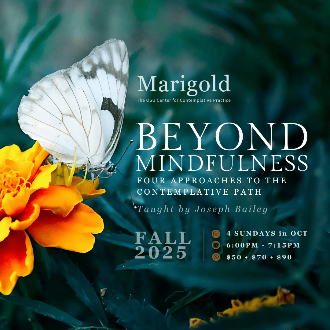 Beyond Mindfulness: Four Approaches to the Contemplative Path | $90 Option