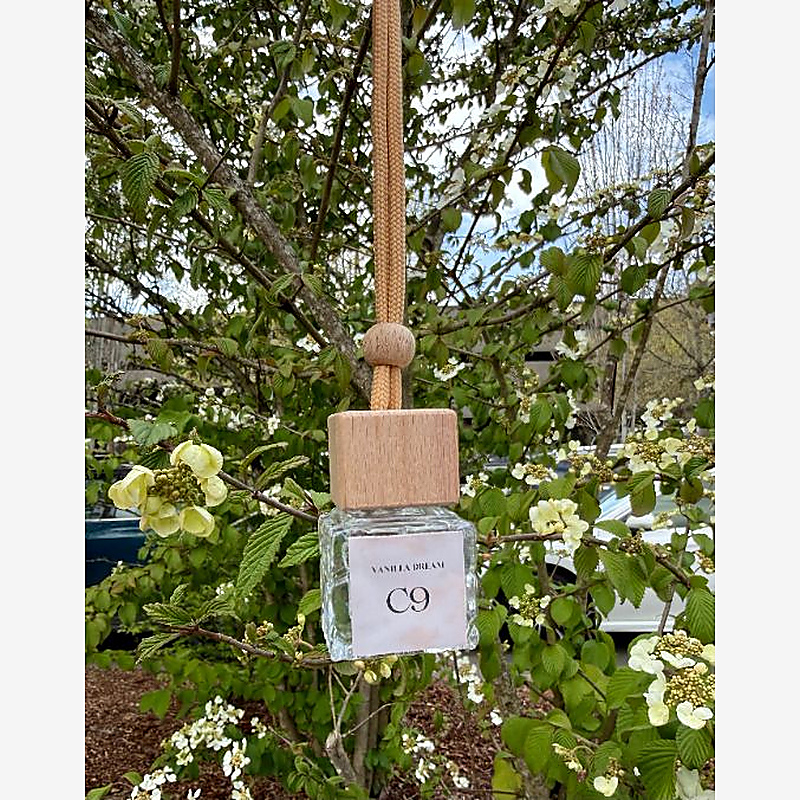 Cloud Fresh Air Freshener
