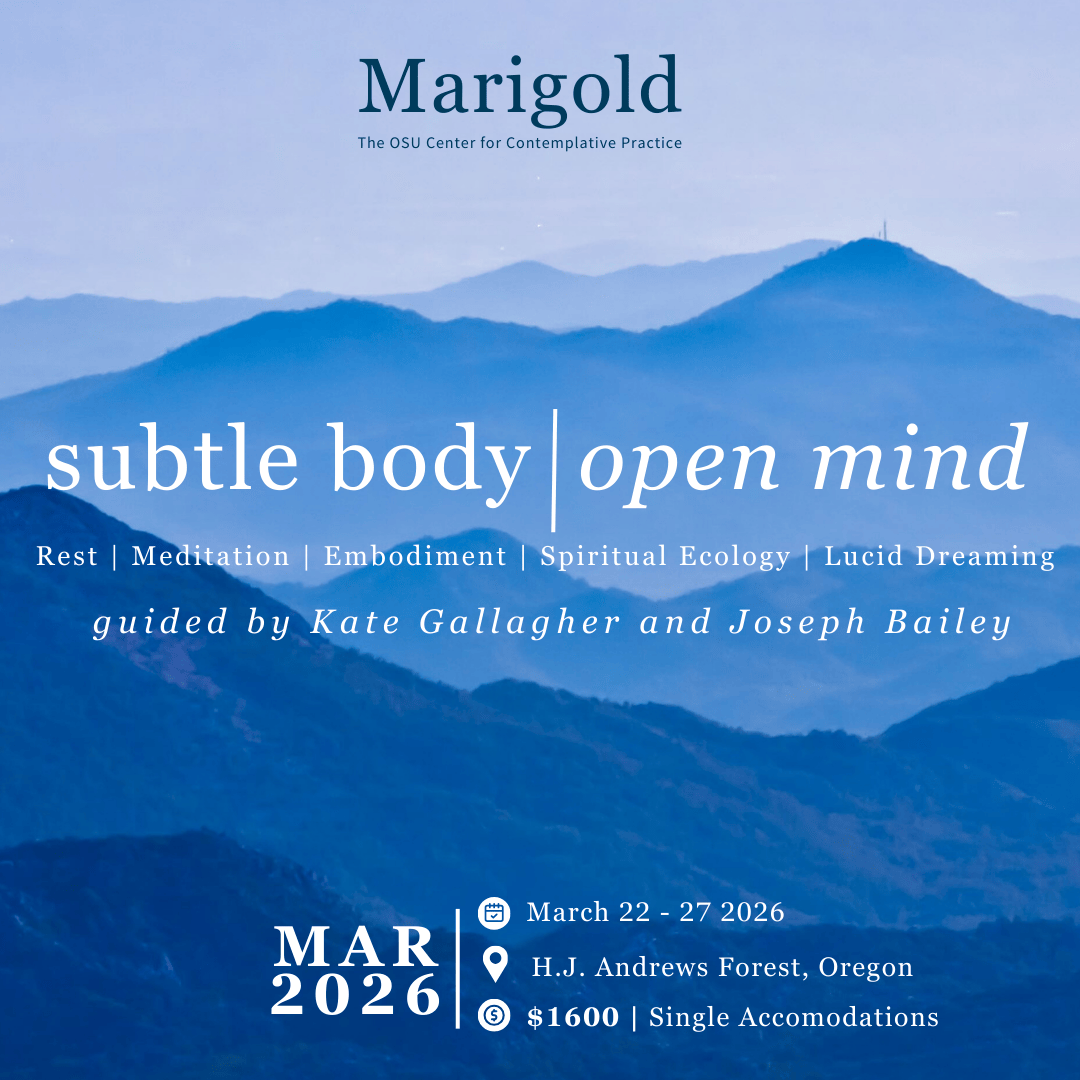 Subtle Body | Open Mind Retreat [Deposit]