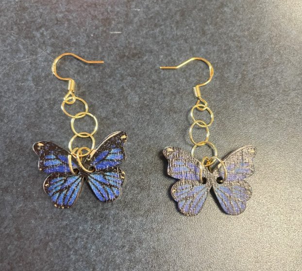 Charm Earrings