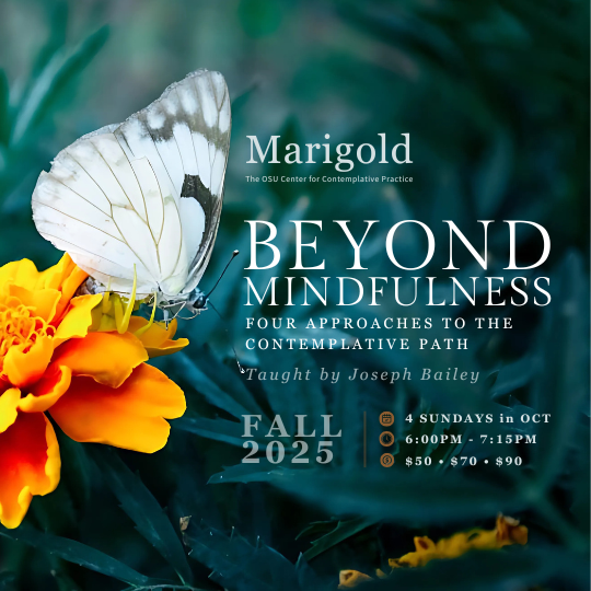 Beyond Mindfulness: Four Approaches to the Contemplative Path | $50 Option