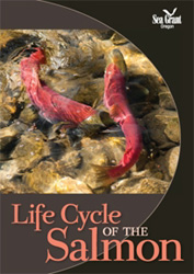 Life Cycle of the Salmon [DVD]