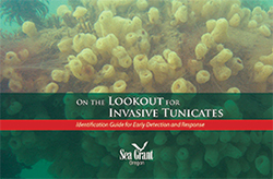 On the Lookout for Invasive Tunicates: Identification Guide for Early Detection and Response