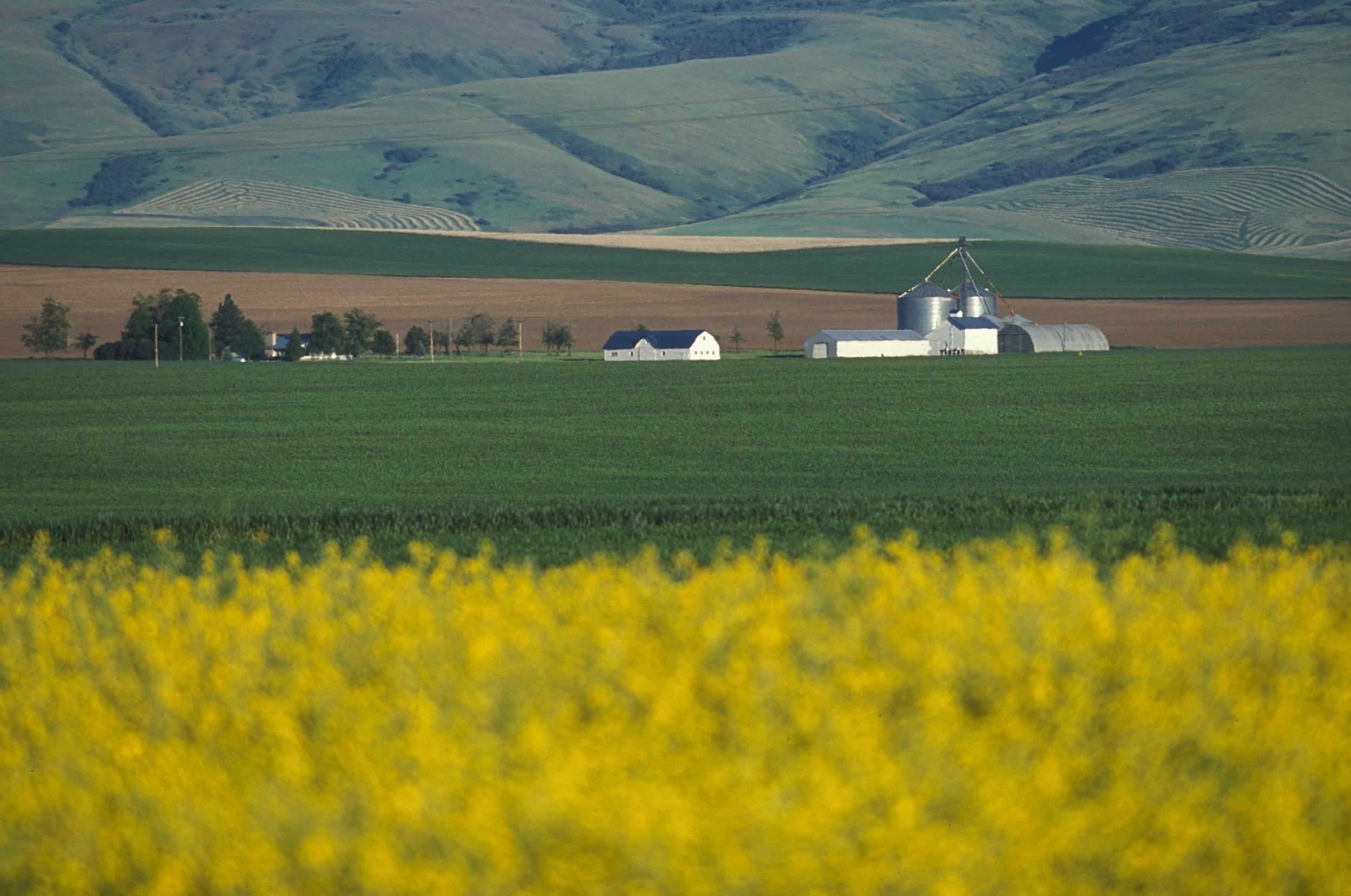 Eastern Oregon Landscape/Turf Ornamental Course--March 5, 2020--La Grande, Oregon