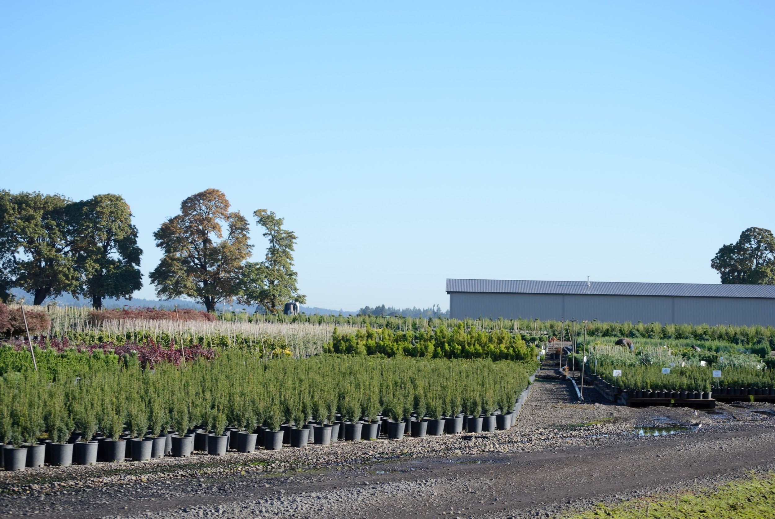 Non-Crop Vegetation Management Course Day 1 & 2--January 30 & 31, 2020--Albany, OR*New Location*