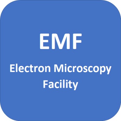 EMF