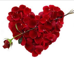 Valentine's Day Dinner - Saturday, February 14