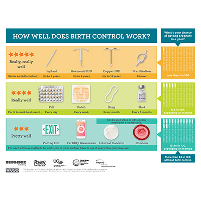 How Well Does Birth Control Work? 13&rdquo; x 17&rdquo; Poster (English)