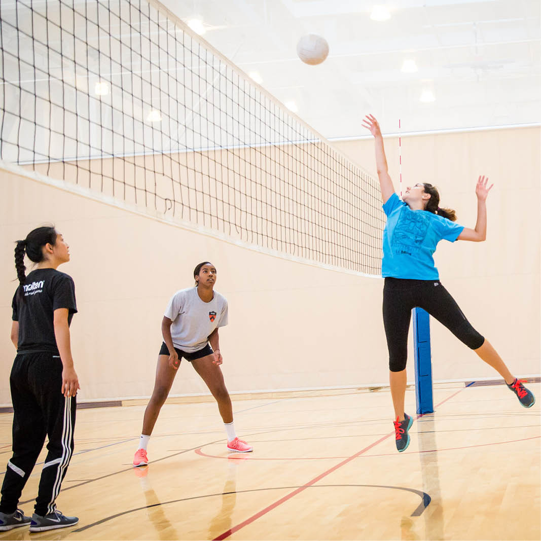 Millberry Union Volleyball League - UCSF Student/Fitness Member