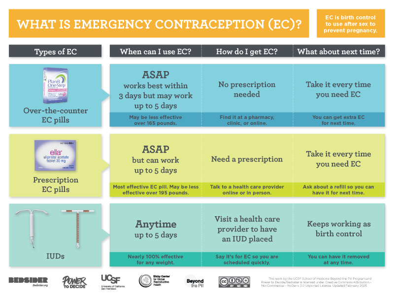 What Is Emergency Contraception (EC)? 13&rdquo; x 17&rdquo; Poster (English)