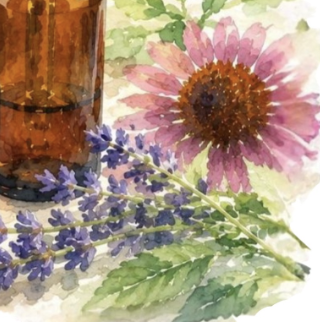 Longevity: Can Supplements Help You Live Longer and Healthier? (Single Class)