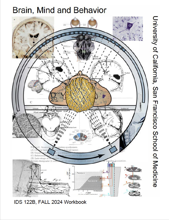 BMB 2024 - Workbook 