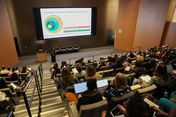 CPP Cohort Fee - Tier 2 (LC revenue over $35,000 and less than $50,000)