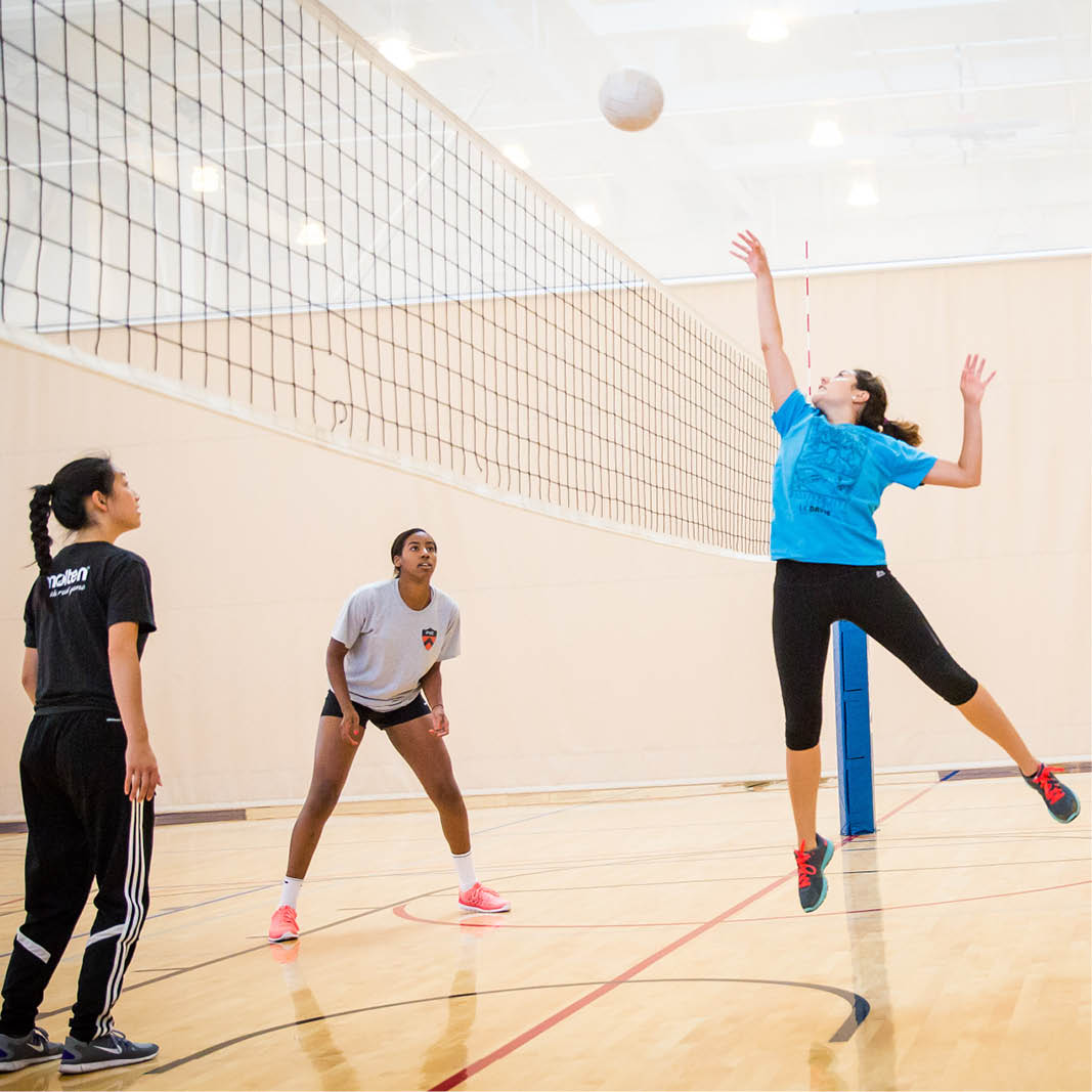 Mission Bay Volleyball League - UCSF Student/Fitness Member