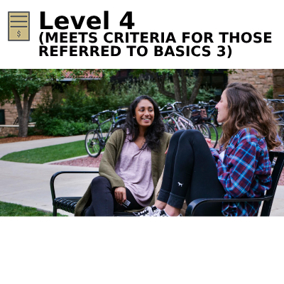 Level 4 (meets criteria for those referred to BASICS 3)